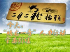 2013年二月二龙抬头全面引爆宣导32页.ppt