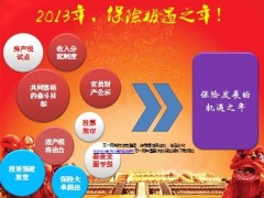 国寿福寿年年产品介绍利益特色32页.ppt