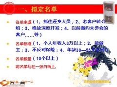 百钞金砖创富座谈会业务员操作手册12页.ppt