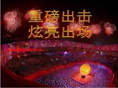百钞金砖创富座谈会业务员操作手册讲师版22页.ppt