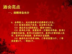 个人品牌酒会亮点个人感悟11页.ppt