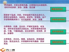 三八节讲座妇女生殖健康相关知识66页.ppt