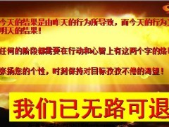 2013年新人绩优奖金钻星绩优奖金20页.ppt
