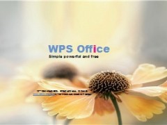 新版向日葵PPT模板5页.ppt