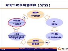NPSS描述递交保单前的准备事项21页.ppt