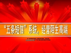 五条短信系统经营陌生高端13页.ppt