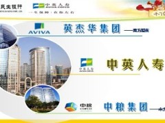 银行保险招投标方案30页.ppt