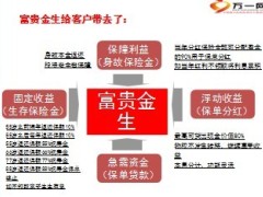 民生人寿富贵金生停售退市宣导38页.ppt