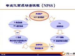 NPSS描述要求推介POS的技巧28页.ppt