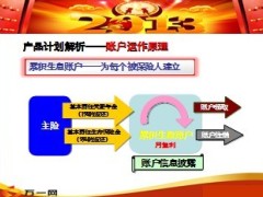 新华尊享全能保障计划产品解析38页.ppt