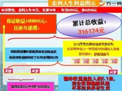 幸福人寿宏利人生特点保额分红31页.ppt