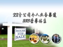 2013年分公司个人业务渠道荣誉体系四月起25页.ppt