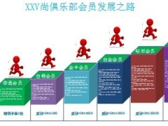 保险代理公司职涯规划晋升维持标准2页.ppt