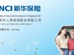 新华保险2012年报最新发布.zip