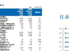 中国太保2012年报最新发布.zip