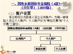 中国人寿计划生育系列类保险产品简介20页.ppt