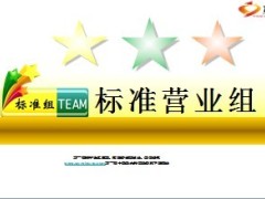营销团队标准营业组宣导12页.ppt