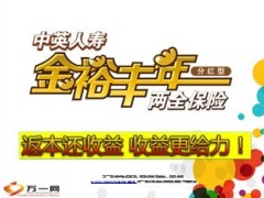 中英人寿金裕丰年保险宣导21页.ppt