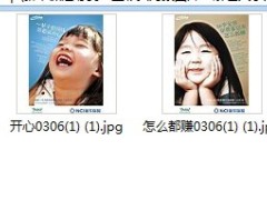 新华保险尊贵一生彩页海报图片.zip