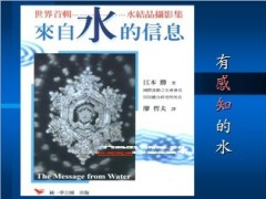 心态激励专题生命的答案水知道43页.PPT