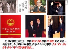 大单销售体系51页.ppt