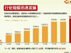 生命人寿福相随保险新产品启动片41页.ppt