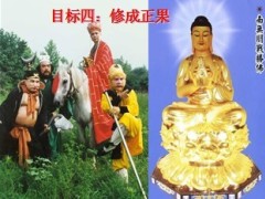 保险专题孙悟空的成功给我们的启示18页.ppt