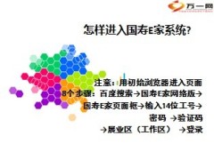 中国人寿E家出单流程与步骤15页.ppt