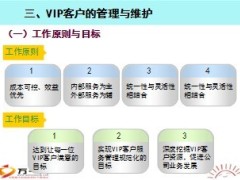 保险公司VIP客户管理规范服务实施标准26页.ppt