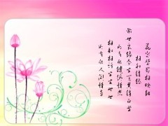 秀丽荷花PPT模板3页.ppt