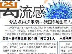 禽流感H7N9小单页.zip