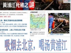 2013年新版健康险观念宣导国寿康宁26页.ppt