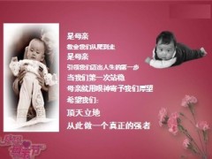 2013年母亲节业务方案宣导26页.ppt