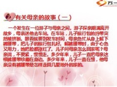 母亲节五月献一束康乃馨23页.ppt