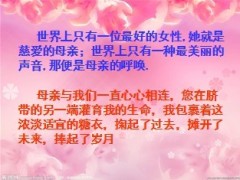 2013年母亲节保险晨会专题13页.ppt
