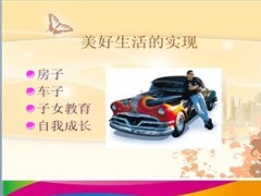 我的职涯规划泰康版22页.ppt