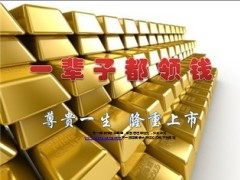 新华尊贵一生产品宣导片51页.ppt