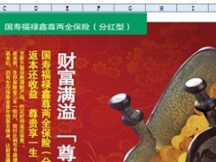 中国人寿福禄鑫尊至尊版万能险计划书注意打开宏.xls