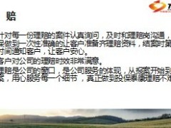 新契约保全理赔工作总结计划10页.ppt
