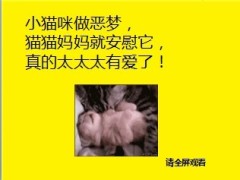 快乐早会开心果11页.ppt