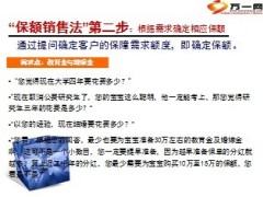 用好保额销售法24页.ppt