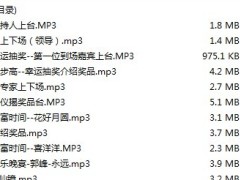 总裁峰会保险产说会音乐包.zip
