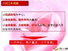 2013年六月业务启动18页.ppt