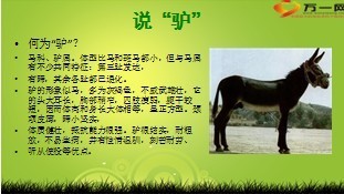 早会激励小故事16页.ppt