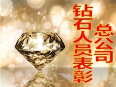2013年六月半年冲刺启动大会流程52页.ppt