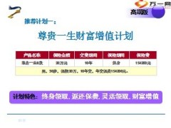 新华保险尊贵一生产品计划推荐12页.ppt