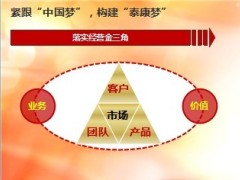 泰康汇享有约上市领导宣导10页.ppt