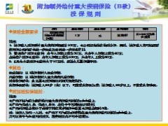 中英人寿附加额外给付重大疾病保险B款介绍12页.ppt