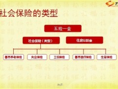 社会保险养老篇20页.ppt