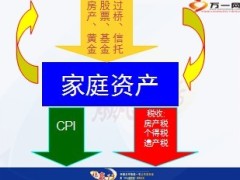 2013新产品上市发布会太平稳赢一号44页.ppt